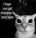 SHAMPOO EYES
