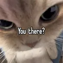 You there  .GG/pancake444