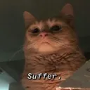 Suffer  .GG/pancake444