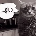 .....glup