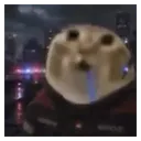 Drooling Cat