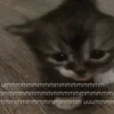 Ummmmm