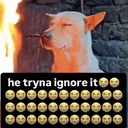 he_tryna_ignore_it
