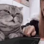 sleepy__zou