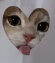cute bleh