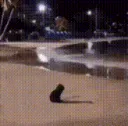 sad kitty