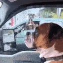 staring down