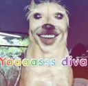yaas diva