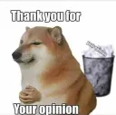 Thanks for your opinion