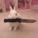 e.g: bunny crash out 