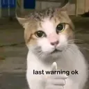 warning ok .gg/bayt
