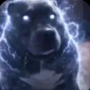 CREON DOGGY