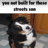 streets