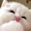 suna_happie