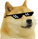 Doge