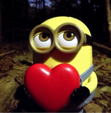 ggcerosiete