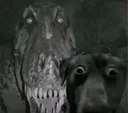 Behind u