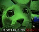 I'm so fucking scared