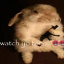 watch it