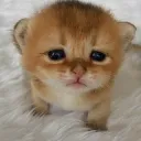 Sad