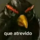 Caba safado