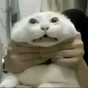 Angry
