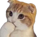 0cat_think