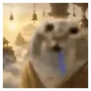 Drooling Cat 12