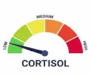 high cortisol