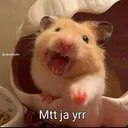 Matt ja yr