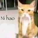 Ni hao