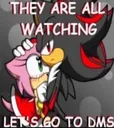 They are all watching