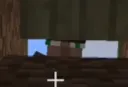 villager
