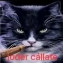 Joder cállate 