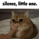 Silence, little one.