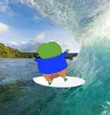 TIC Surfin Peepee Pepe