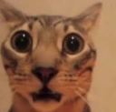 1533447969087557722.png