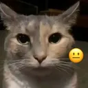 Wtf
