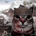 Militarycat