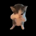 scuba