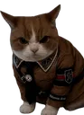 reichcat