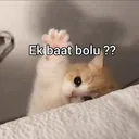 Please