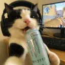 cat monster
