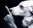 shhhh