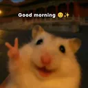 Morning 