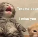 text me back