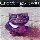 Greetings twinniee
