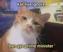 _ignored_