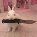 bunni 