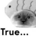 true gg/bfts